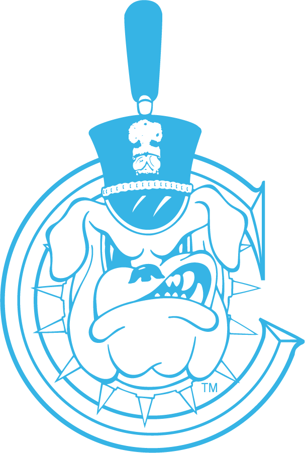 The Citadel Bulldogs 1987-2021 Alternate Logo diy DTF decal sticker